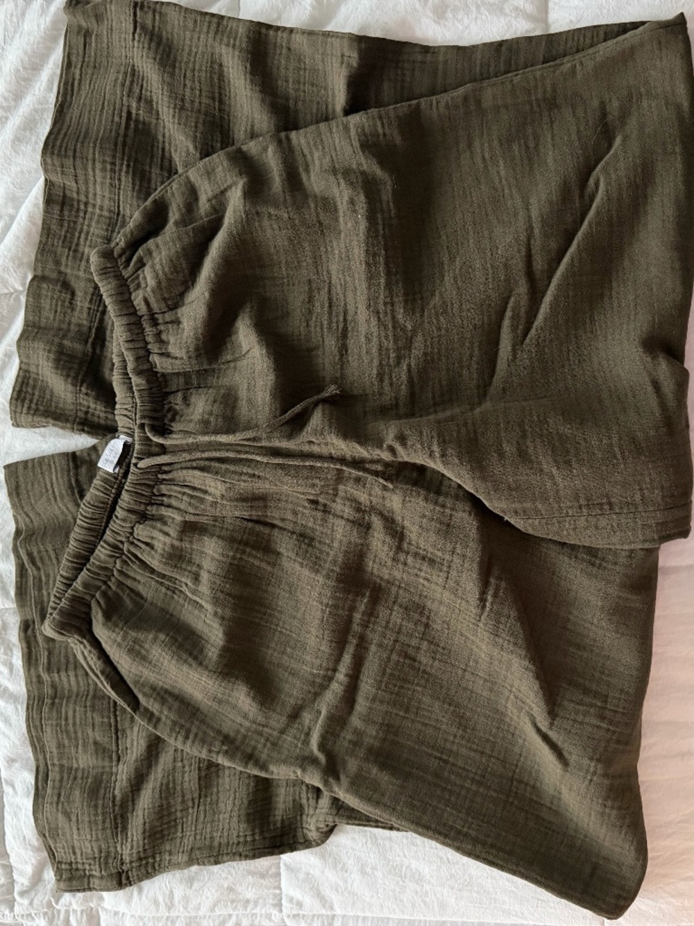 Aritzia Relaxed Wide-Leg Pants in Olive